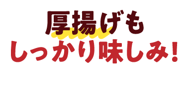 厚揚げもしっかり味しみ!